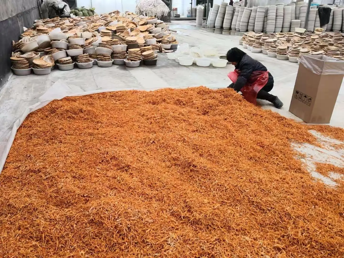 How to Read Cordyceps Labels in Europe