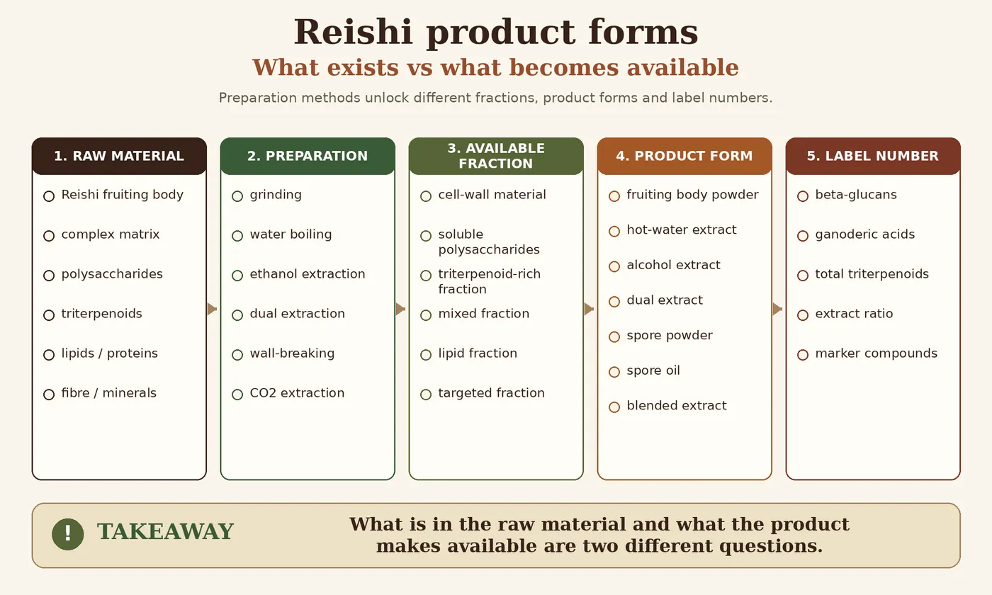 Diagram comparing what exists in Reishi raw material versus what the product makes available